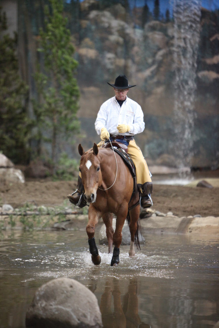 Meet Checkers, The Mountain Trail Horse, and Mark Bolender at