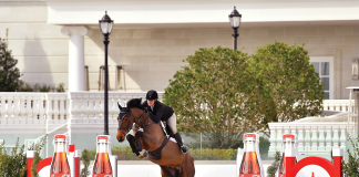 French Horse Exports: Bridging the Gap Between the European and American Horse Markets