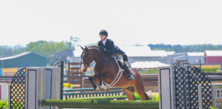 Alexandra Hawrysko and Vivienne Noel Top USHJA National and Pony Hunter Derbies at HITS Culpeper