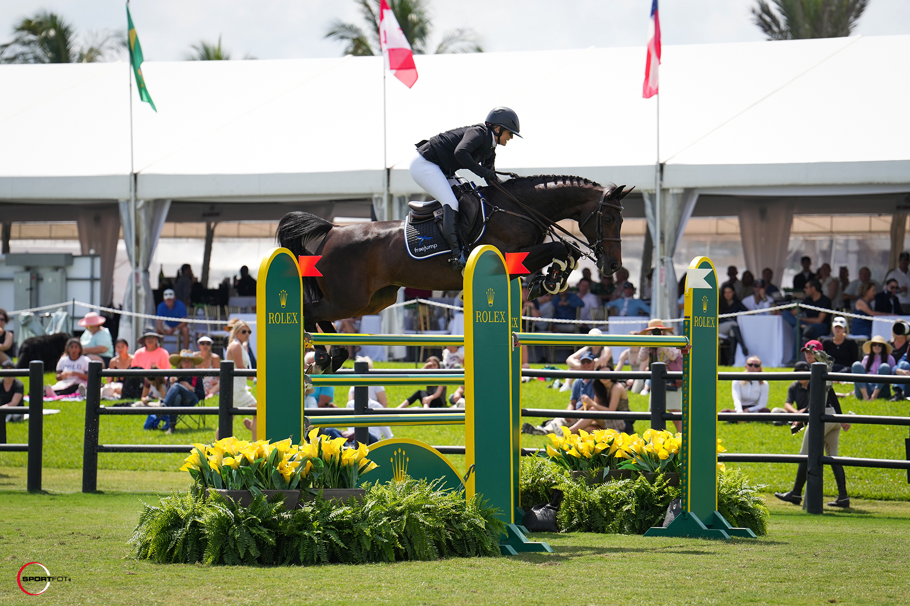 Ashlee Bond Forges Successful Partnership for Victory in $500,000