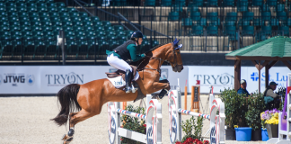 Christina Webb and FVF Sailor Man Claim $25,000 Jumper Classic Win at Tryon Welcome 2