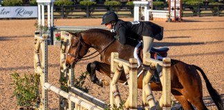 Megan Rosenthal and Wailea Win First USHJA National Hunter Derby of the Season at TIEC