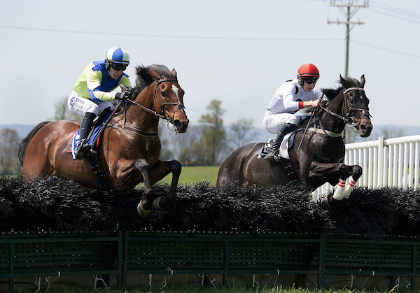 middleburg-races-22