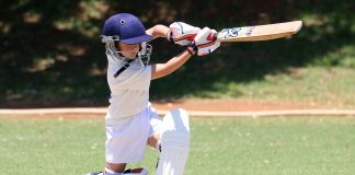 The Introduction To The History Of IPL