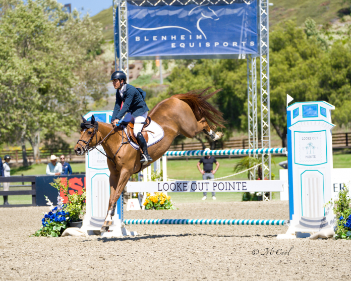 trent-mcgee-boucherom-blenheim-22