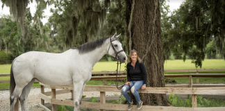 Tracy Fenney: Horses in Your Blood
