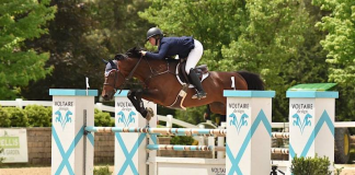 Lisa Goldman-Smolen Captures Third $25,000 HITS Grand Prix Win at Lamplight Spring Classic III