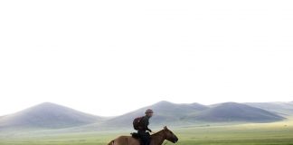 Journey to the Mongol Derby: Training for the Mongol Derby