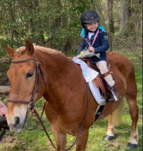 Horse Rescued from New Holland Auction Returns to Pennsylvania for Devon - The Plaid Horse Magazine Horse Rescued from New Holland Auction Returns to Pennsylvania for Devon - The Plaid Horse Magazine
