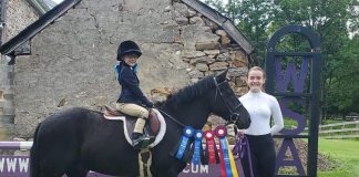 The Gift that Keeps on Giving: Pony Rescued From New Holland Auction
