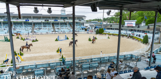 What to Eat: The Devon Horse Show (Are You Team Lemon Sticks or Tea Sandwiches?)