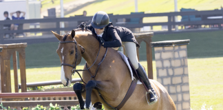 Katie Taylor Davidson Rides L’Con Reyes to $25,000 Blenheim West Coast Hunter Classic Win