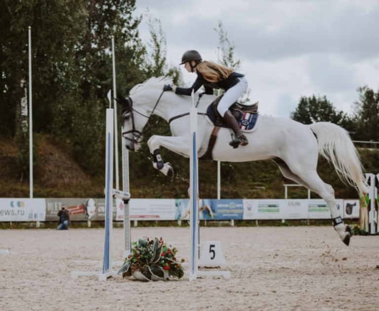 10 Biggest Horse Shows & Equestrian Events in the World The Plaid