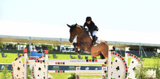Christine McCrea Cruises to Win CSI3* Welcome Stake at Traverse City Spring