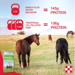 Does Your Horse Need a Ration Balancer? - The Plaid Horse Magazine