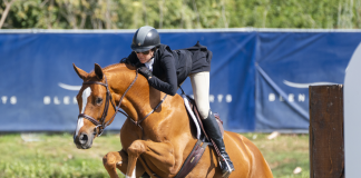 Robinson and Davidson Ride to USHJA Green Hunter Incentive Southwest Regional Championships Victories
