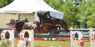 Kelli Cruciotti VanderVeen Rises in the Ranks in Michigan