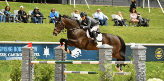 Margie Engle Goes All In to Win $138,600 Turtle Creek Casino & Hotel CSI3* Grand Prix