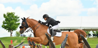 Margie Engle Makes Her Mark at Traverse City Spring