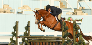 American Bred Mr. Manhattan Takes Home Devon Blue in $3,500 Green Hunter 3’6” Stake