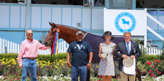 Only Always Crowned Grand Hunter Champion at Devon Horse Show