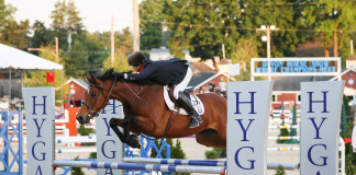 Wendy Chapot Nunn and Cashe’ Crowned Adult Amateur Jumper Champions at Devon Horse Show