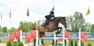 Cathleen Driscoll Tops NetJets CSI2* Grand Prix