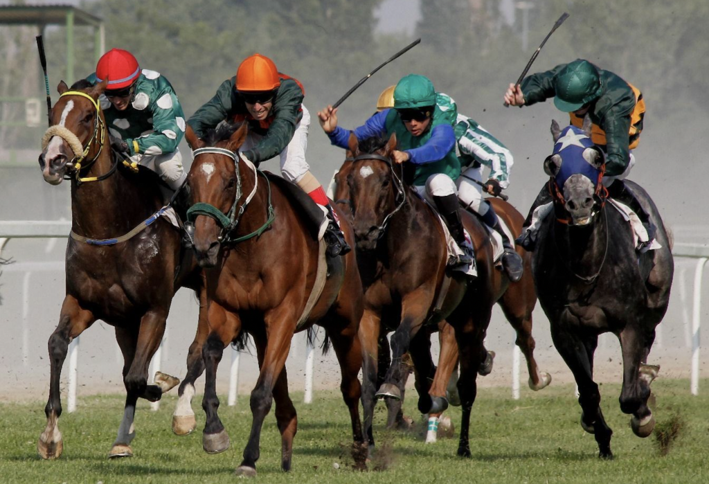 Horse Racing Betting Odds & Form Guides The Plaid Horse Magazine