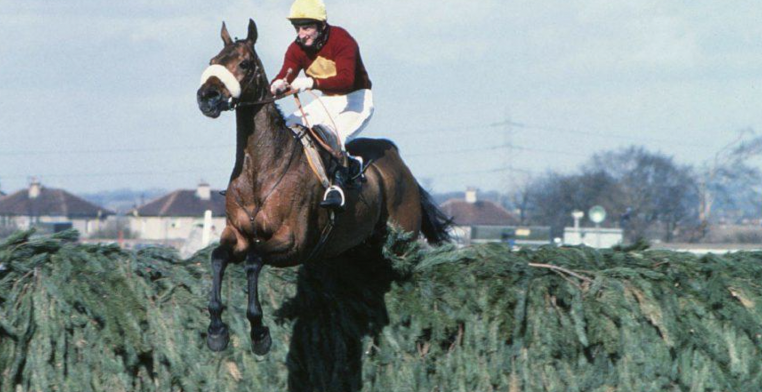 Most Famous Horses of All Times The Plaid Horse Magazine