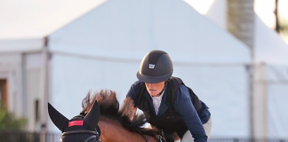 American Bred: Qatar Makes Her Own Rules