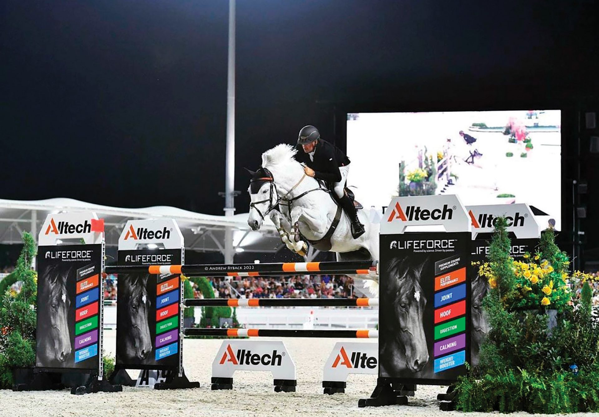 Five Tips For Reading Between the Lines on Your Horse’s Feed Tag