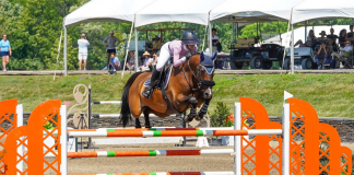 Amanda Derbyshire and Cornwall BH Dash to $25,000 SmartPak Grand Prix Win at HITS-on-the-Hudson V