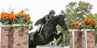 Glynn and Aventus Claim Overall Grand Champion 3’6″ at Adequan®/USEF Junior Hunter National Championship – West