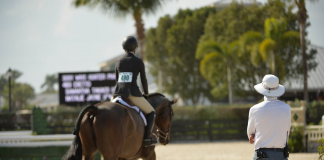 Ask Andre: Is Success in the Sport Bound by the Equitation Division?