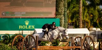 Treat Your Horse Like a Professional Athlete