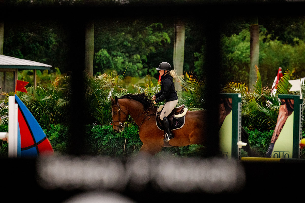 In the Judge's Booth - The Plaid Horse Magazine