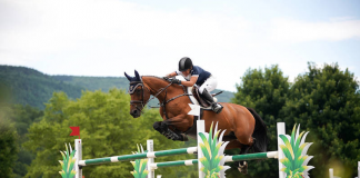 Mary Lisa Leffler and Zaza Z Zip to $40,000 Purina Grand Prix Victory at Vermont Summer Festival
