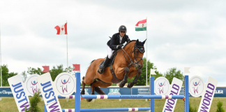 Riley and Robin Return to Win Traverse City CSI2* Grand Prix