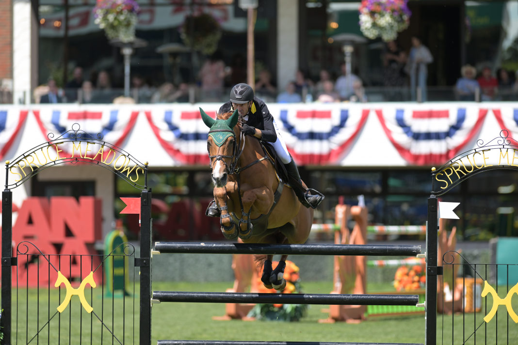 Rowan Willis Knows Chestnut Mares The Plaid Horse Magazine