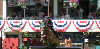 Rowan Willis Knows Chestnut Mares