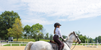 What’s the Greatest Lesson You’ve Learned From a Pony?