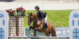 Daphne Shiebler Shines in PCHA Junior/Amateur Horsemanship 2’9” Finals at Blenheim EquiSports