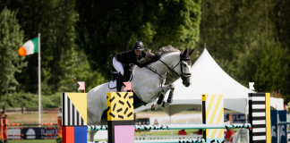 A Gallop Gets the Win for Jaimie Ackerman and Driek in CSI3* tbird 1.35m at Thunderbird Show Park
