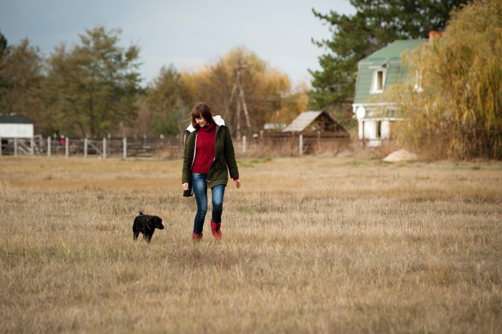 The 8 Best Dog Breeds for Horse Farms The Plaid Horse Magazine