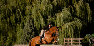Partridge and Chaperone Make it a Double in Foxstone Stables USHJA International Hunter Derby at Thunderbird Show Park