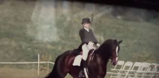 Horses, Life and Change: Stepping Away From the Sand Box