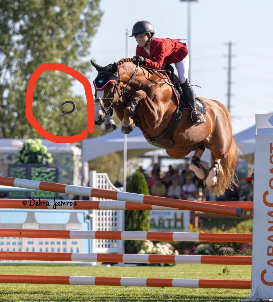 Horseshoe Not Horse Knocks Pole in Ottawa The Plaid Horse Magazine Horseshoe Not Horse Knocks Pole in Ottawa The Plaid Horse Magazine