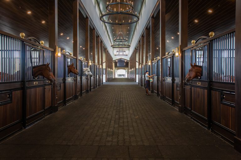 TerraNova Equestrian Center Plans Fall Expansion The Plaid Horse Magazine