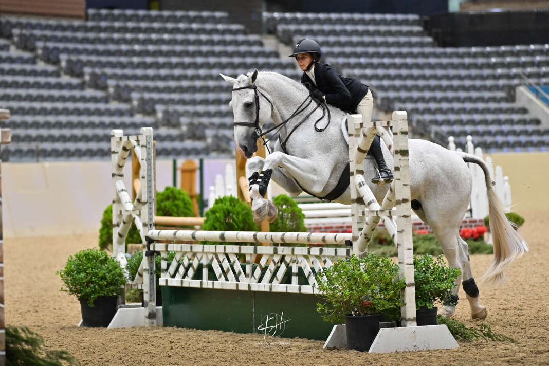 THIS Rider Profile: Lily Epstein - The Plaid Horse Magazine