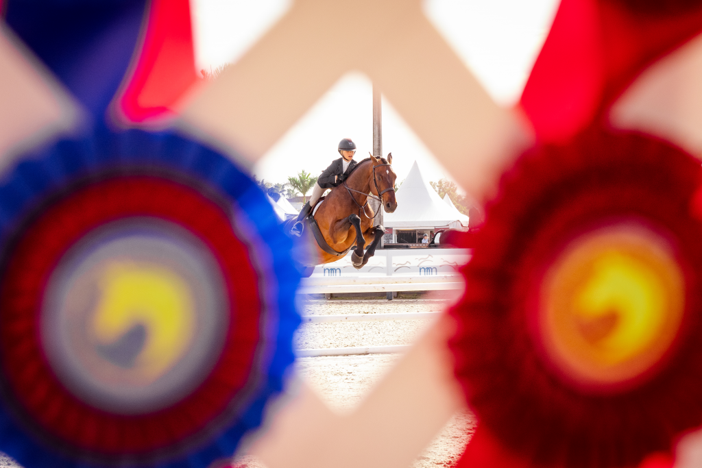 Five Students Awarded USEF Higher Education Equestrian Scholarship